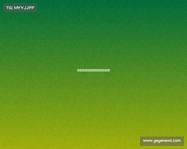 网球赛场背后的不为人知的故事与辛勤付出揭秘