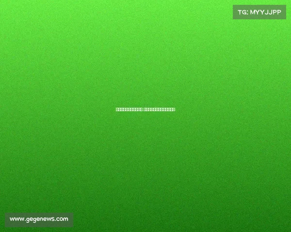 英超比赛因突发停电中断 球迷现场及电视转播受到影响