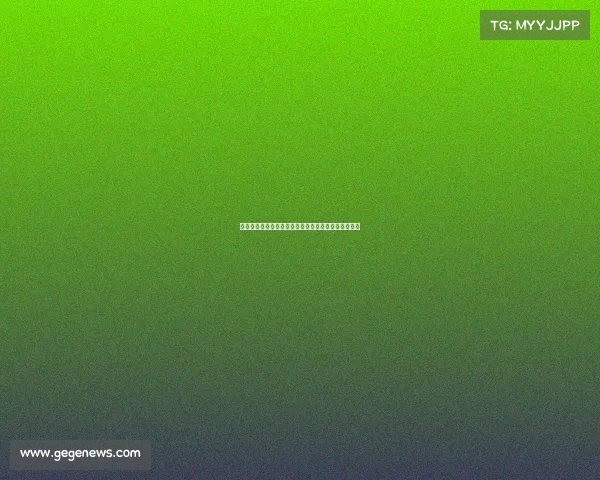 足球俱乐部球员转会与出售管理方案的优化与实践分析 足球俱乐部球员转会与出售管理方案的优化与实践分析